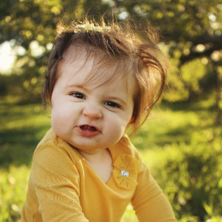 Toddler Curriculum